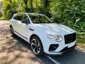 Bentley Bentayga S V8 Neuzustand Bianco - thumbnail 3
