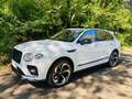 Bentley Bentayga S V8 Neuzustand Bianco - thumbnail 1