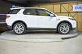 Land Rover Discovery Sport 2.0D TD4 MHEV SE AWD Auto 163 - thumbnail 19