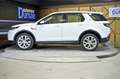 Land Rover Discovery Sport 2.0D TD4 MHEV SE AWD Auto 163 - thumbnail 18