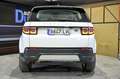 Land Rover Discovery Sport 2.0D TD4 MHEV SE AWD Auto 163 - thumbnail 11