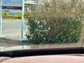 Lexus LC 500 V8 477 ch Sport+ BVA10 Direct Shift Grau - thumbnail 49