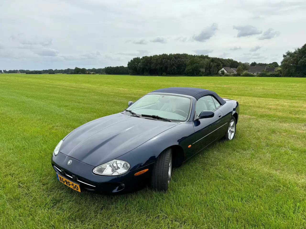 Jaguar XK8, foto 12