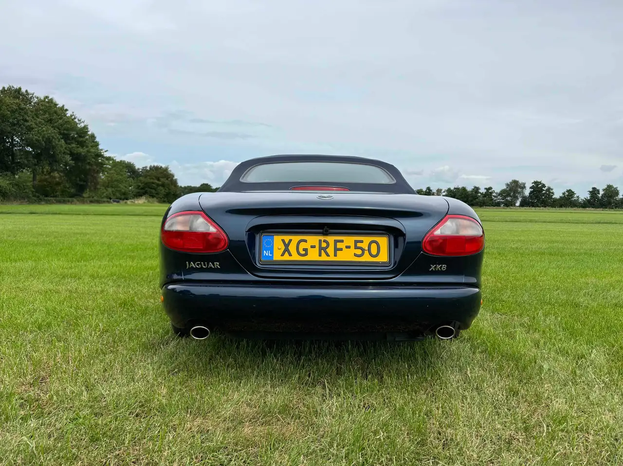 Jaguar XK8, foto 4