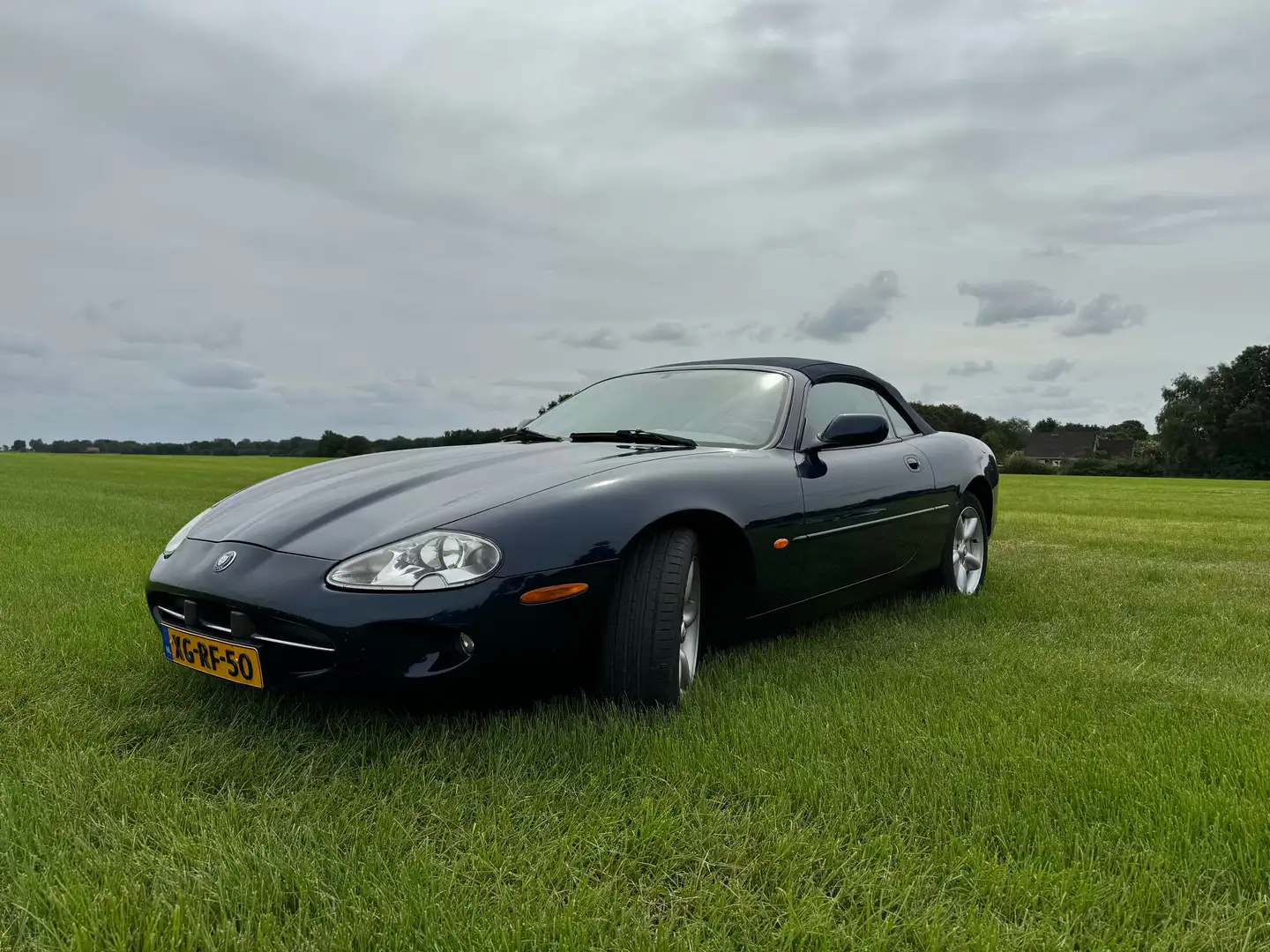 Jaguar XK8 Blau - 1