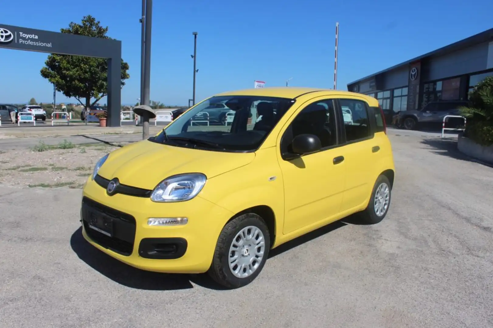 Fiat Panda 1.0 FireFly S&S Hybrid Giallo - 1