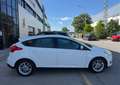 Ford Focus 1.0 Ecoboost Red&Black Edition 125 - thumbnail 4