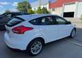 Ford Focus 1.0 Ecoboost Red&Black Edition 125 - thumbnail 5