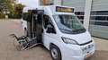Fiat Ducato oder Movano Bürgerbus Niederflur R Weiß - thumbnail 8