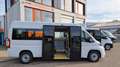 Fiat Ducato oder Movano Bürgerbus Niederflur R Weiß - thumbnail 4