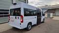 Fiat Ducato oder Movano Bürgerbus Niederflur R Weiß - thumbnail 26