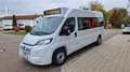 Fiat Ducato oder Movano Bürgerbus Niederflur R Weiß - thumbnail 25