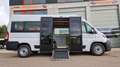 Fiat Ducato oder Movano Bürgerbus Niederflur R Weiß - thumbnail 33