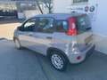 Fiat Panda 1.0 Hybrid Grau - thumbnail 4