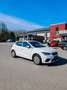 SEAT Ibiza Style Edition Sevilla DAB SHZ Klima Bianco - thumbnail 5