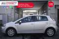 Fiat Punto FIAT Punto 1.2 8V 5 porte Lounge Unicoproprietario Grigio - thumbnail 4