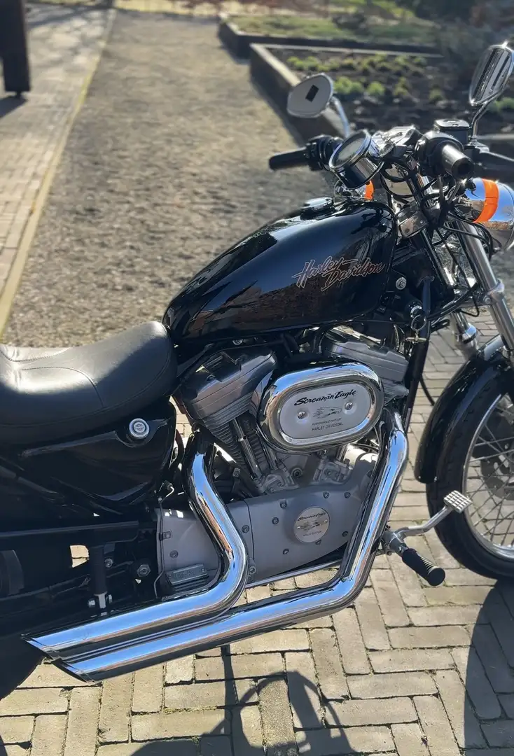 Harley-Davidson Sportster XL 54C - 1