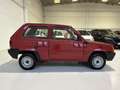 Fiat Panda Panda 0.9 Young - " CONDIZIONI PARI AL NUOVO " Maro - thumbnail 6