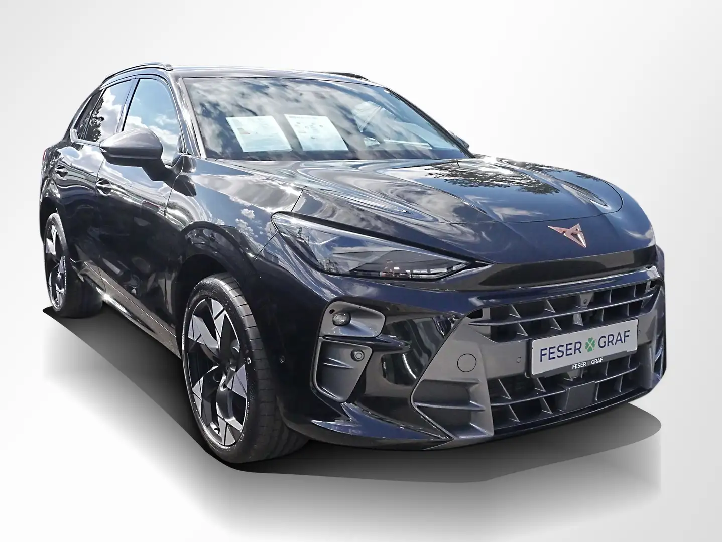 CUPRA Terramar 2.0 TSI VZ DSG ACC Navi RüKa Sitzh. Schwarz - 2