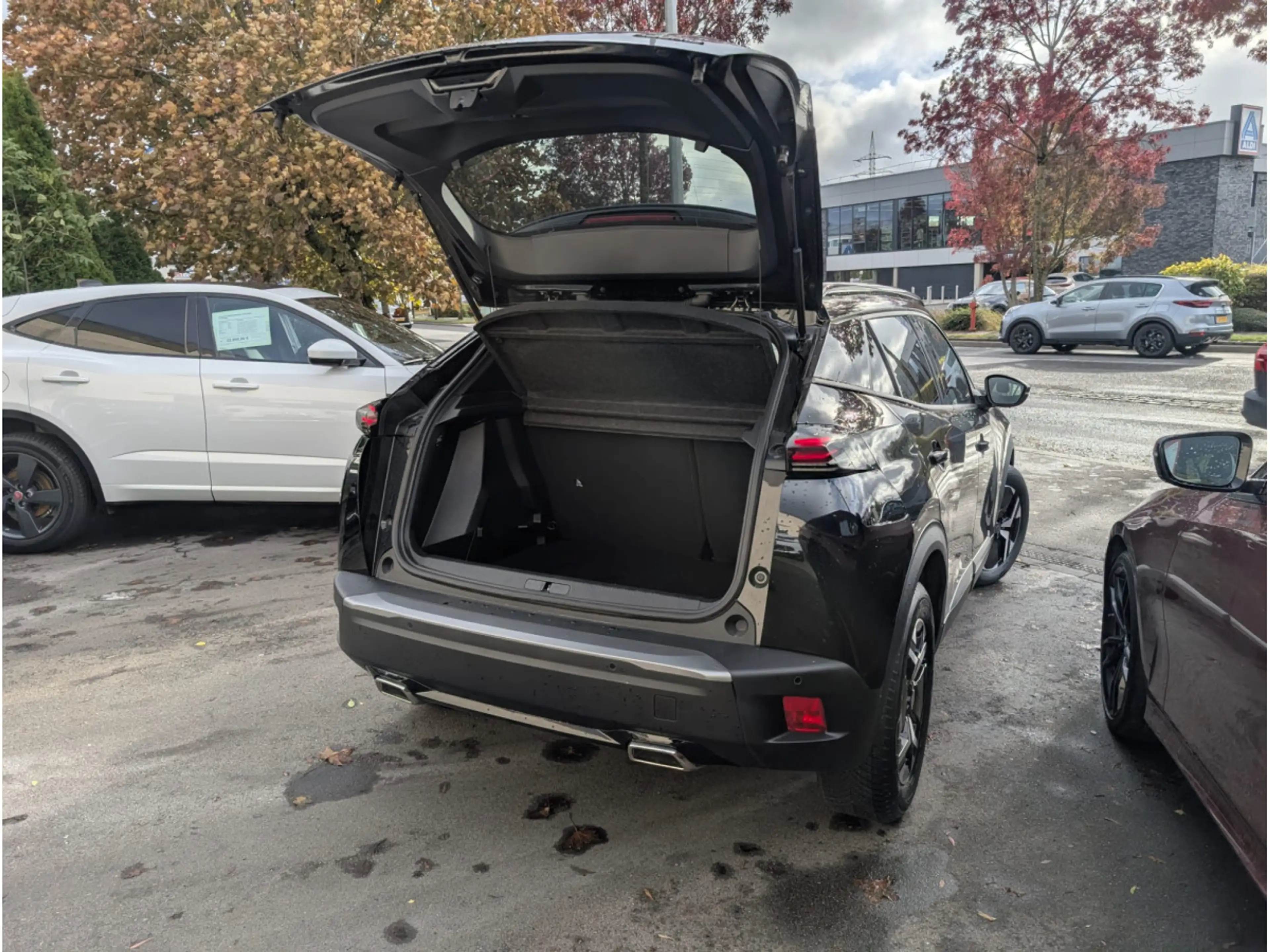 Peugeot 2008 ALLURE HIBRID 145E-DSC6 — photo 4