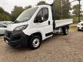 Fiat Ducato 2.2 MTJ  CASSONE FISSO !! Blanc - thumbnail 1