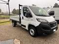 Fiat Ducato 2.2 MTJ  CASSONE FISSO !! Blanc - thumbnail 3
