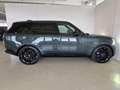 Land Rover Range Rover Range Rover 5ªserie 3.0D TD6 249 PS AWD Auto HSE Grün - thumbnail 6
