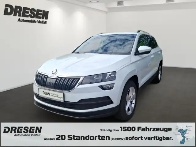 Skoda Karoq main image