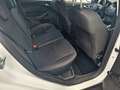 Ford Focus 1,0 EcoBoost Turnier.KLima.Navi.Kamera Blanc - thumbnail 10