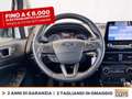 Ford EcoSport 1.0 ecoboost active s&s 125cv Bianco - thumbnail 19