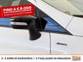 Ford EcoSport 1.0 ecoboost active s&s 125cv Bianco - thumbnail 16