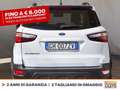 Ford EcoSport 1.0 ecoboost active s&s 125cv Bianco - thumbnail 5