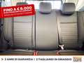 Ford EcoSport 1.0 ecoboost active s&s 125cv Bianco - thumbnail 10