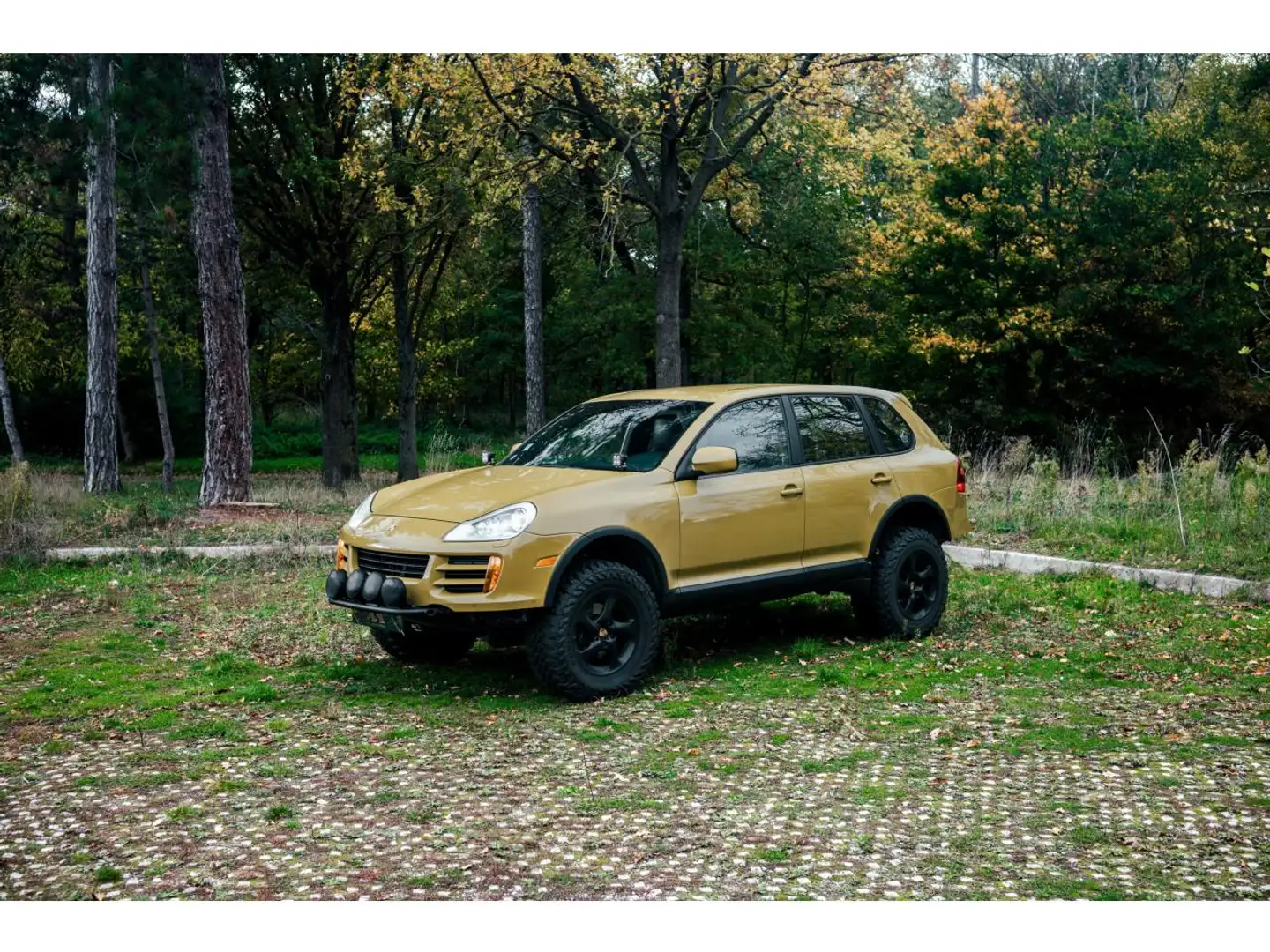 Porsche Cayenne Cayenne 3.0 V6 TDI  _ DAKAR  EVOCATION - 1