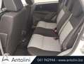 Suzuki SX4 1.6 16V 4WD Outdoor Line GL Bianco - thumbnail 11