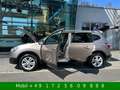 Nissan Qashqai+2 Qashqai +2 Acenta 7-Sitz Pano Navi AHK Kamera Beige - thumbnail 20