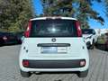Fiat Panda My Panda Klima Eu6 Fiat S-Heft Weiß - thumbnail 17