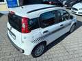 Fiat Panda My Panda Klima Eu6 Fiat S-Heft Weiß - thumbnail 12