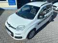 Fiat Panda My Panda Klima Eu6 Fiat S-Heft Weiß - thumbnail 6
