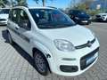 Fiat Panda My Panda Klima Eu6 Fiat S-Heft Weiß - thumbnail 5