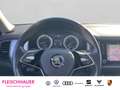 Skoda Kodiaq Tour 1.5 TSI ACT DSG RFK Pano Frontscheibe heizbar Gris - thumbnail 14