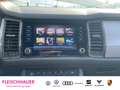Skoda Kodiaq Tour 1.5 TSI ACT DSG RFK Pano Frontscheibe heizbar Grigio - thumbnail 19