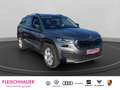 Skoda Kodiaq Tour 1.5 TSI ACT DSG RFK Pano Frontscheibe heizbar Grigio - thumbnail 9