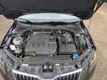 Skoda Octavia TDI Ambition Limited, AHV, APP, Sitzheizung Schwarz - thumbnail 18