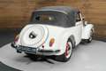 Oldtimer DKW F8 Cabriolet | 1939 Blanc - thumbnail 13