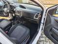 Hyundai i20 i20 I 2012 5p 1.2 Sound Edition GPL Weiß - thumbnail 8