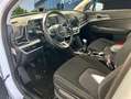 Kia Sportage 1.6 CRDi MHEV Business 4x4 136 Blanco - thumbnail 7