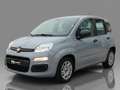 Fiat Panda 2021 1.0 firefly hybrid s Grigio - thumbnail 3