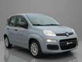 Fiat Panda 2021 1.0 firefly hybrid s Grigio - thumbnail 1