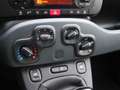 Fiat Panda 2021 1.0 firefly hybrid s Grigio - thumbnail 14